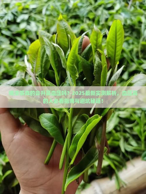 喝浓茶对血压升高有没有影响