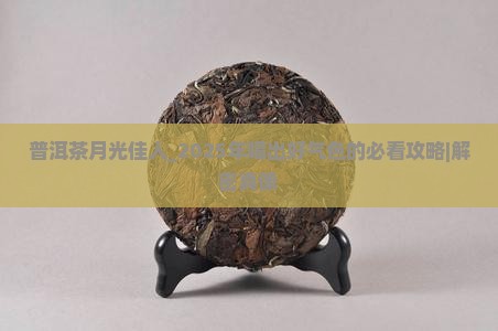 普洱茶月光佳人
