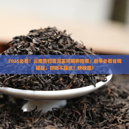 云南昔归普洱好吗