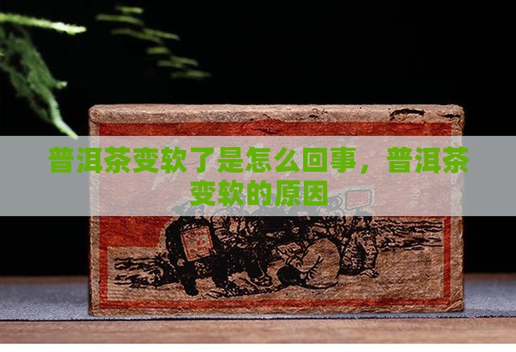 普洱茶变软了是怎么回事