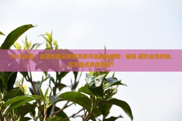 首届中国云南普洱茶评选