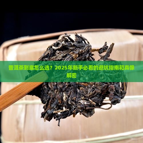 普洱茶新闻周报 普洱茶新闻周报