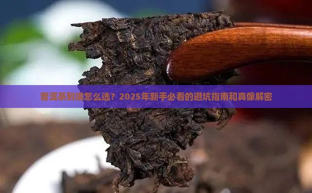 普洱茶新闻周报 普洱茶新闻周报
