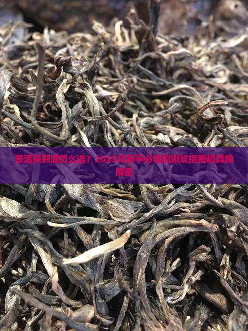 普洱茶新闻周报 普洱茶新闻周报