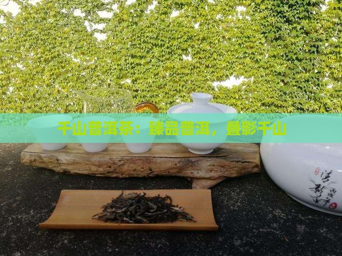 臻品千山叠影普洱茶