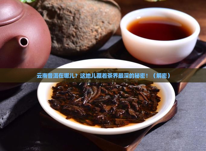 云南普洱在什么地方