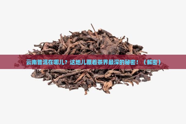 云南普洱在什么地方