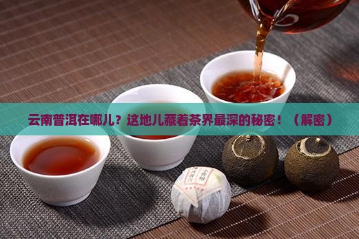 云南普洱在什么地方