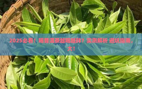 喝普洱茶越喝越胖