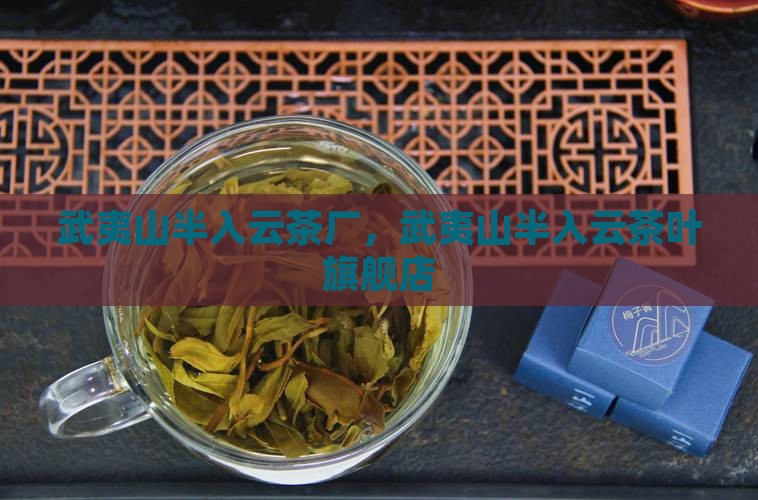 武夷山半入云茶厂