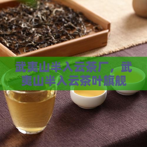 武夷山半入云茶厂