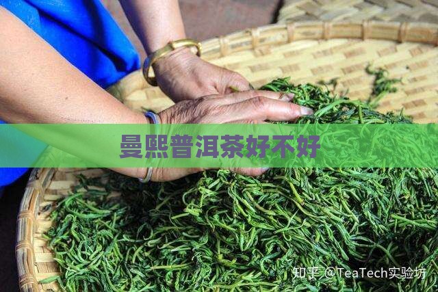 曼熙普洱茶好不好