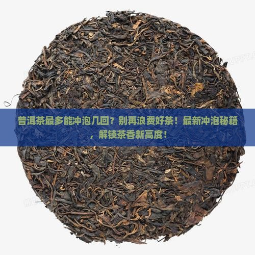 普洱茶最多能冲泡几回