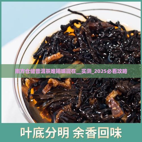 南方仓储普洱茶难喝嘛现在