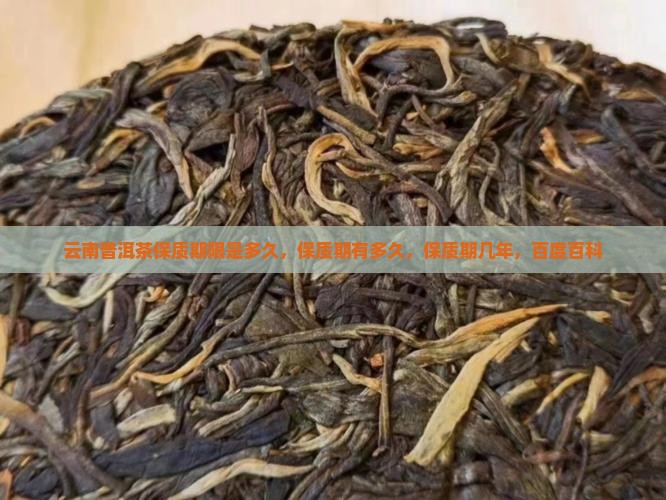 云南普洱茶保质期限