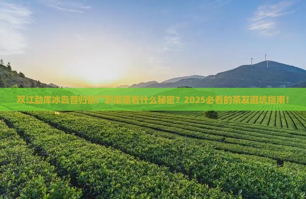 双江勐库冰岛昔归茶厂