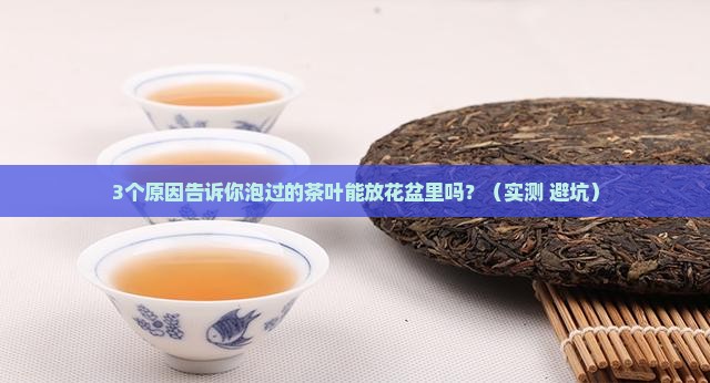 泡过的茶叶可以放花盆里吗