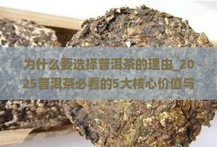 为什么要选择普洱茶的理由