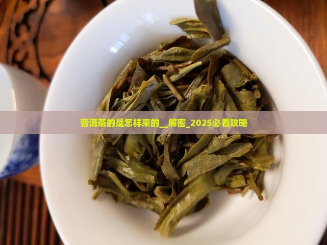 普洱茶的编号是怎样来的