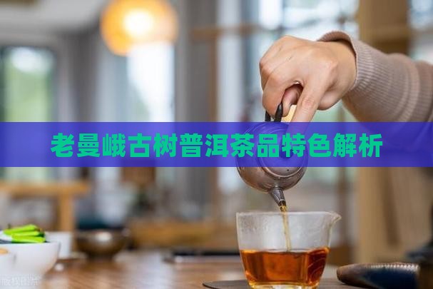 老曼峨普洱茶的特色