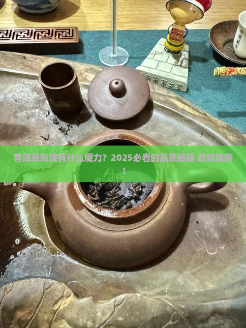 普洱茶的一些基本知识