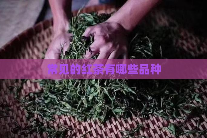 常见的红茶有哪些品种