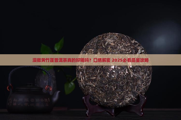 漫撒黄竹蓬普洱茶口感