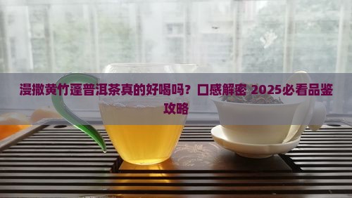 漫撒黄竹蓬普洱茶口感