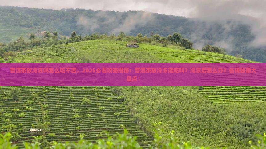 普洱茶放冷冻吗怎么吃不苦 普洱茶放冷冻吗怎么吃不苦