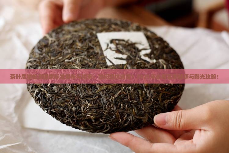茶叶质量检测国家标准