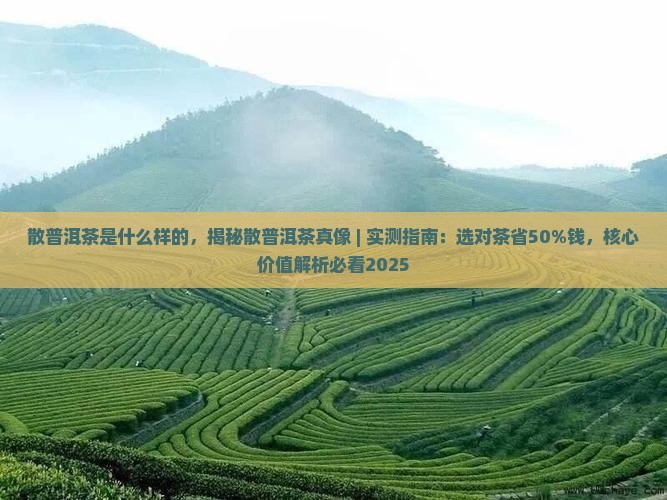 散普洱茶是什么样的 散普洱茶是什么样的