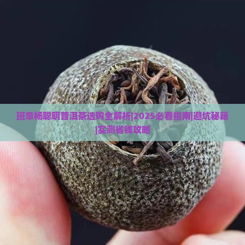 班章杨聪明普洱茶 班章杨聪明普洱茶