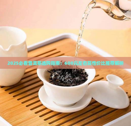 600左右普洱茶推荐性价比