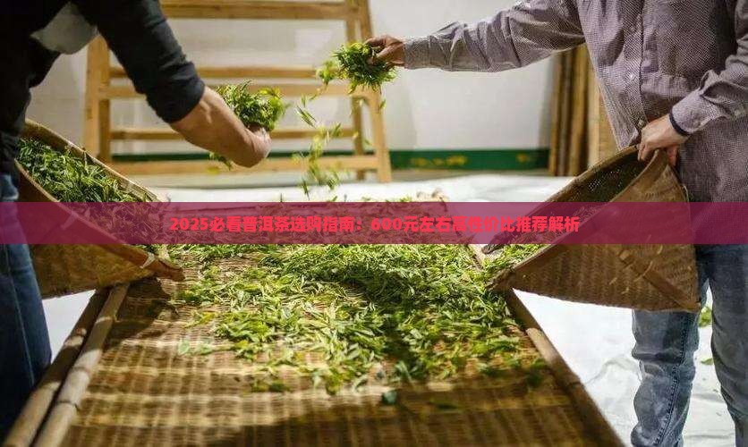600左右普洱茶推荐性价比