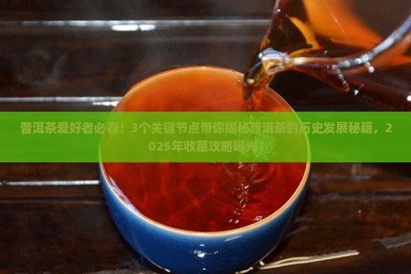 普洱茶的历史发展史