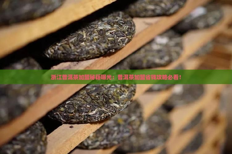 浙江普洱茶招商加盟商家