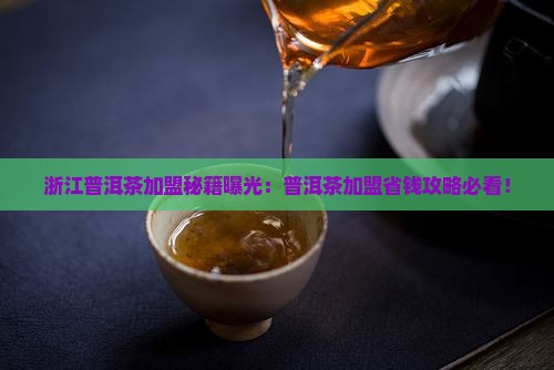 浙江普洱茶招商加盟商家