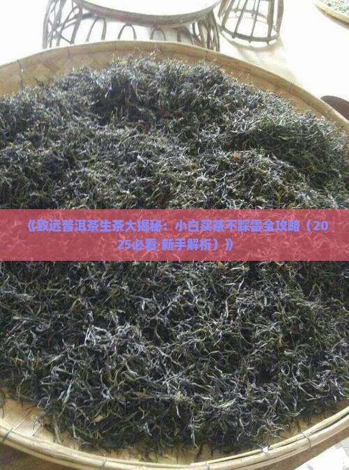致远普洱茶生茶