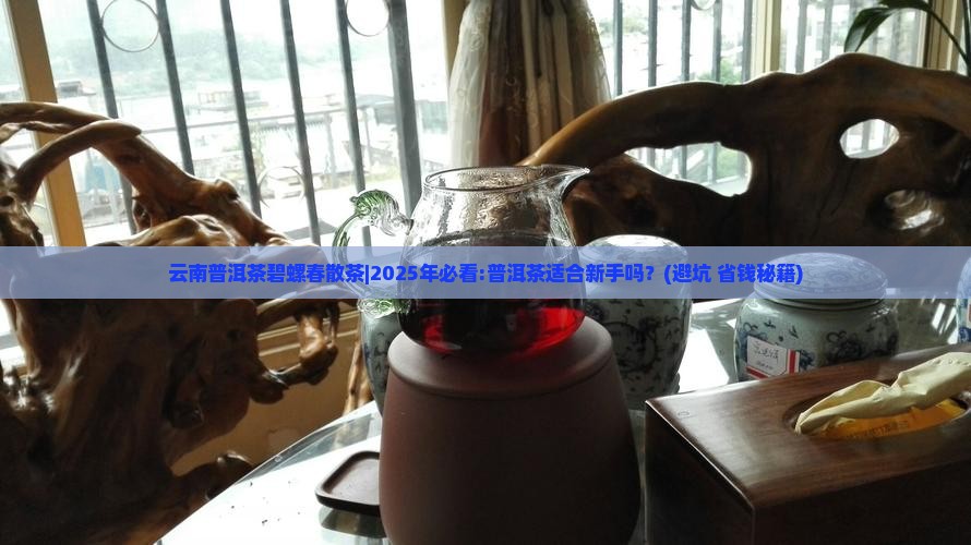 云南普洱茶碧螺春散茶