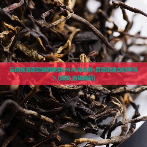 云南普洱茶碧螺春散茶