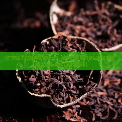 广东韶关红茶有哪些牌子