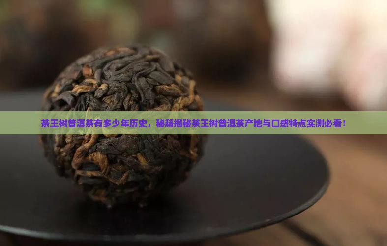 茶王树普洱茶有多少年历史