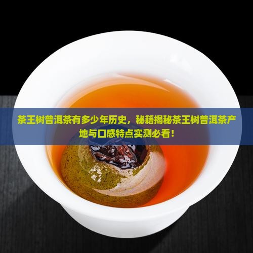茶王树普洱茶有多少年历史