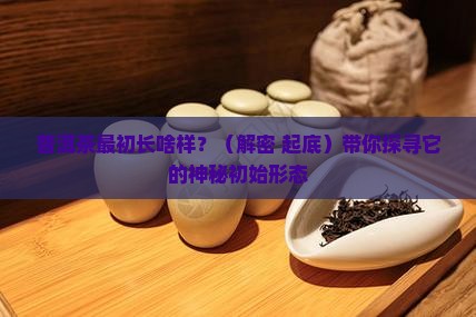 普洱茶的初始形态是