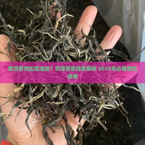 普洱茶饼油斑怎么回事