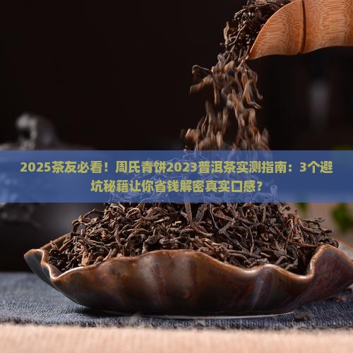 周氏青饼2023普洱茶