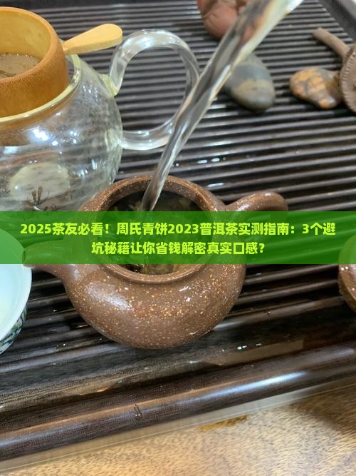 周氏青饼2023普洱茶