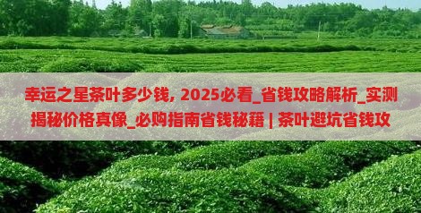 幸运之星茶叶多少钱 幸运之星茶叶多少钱