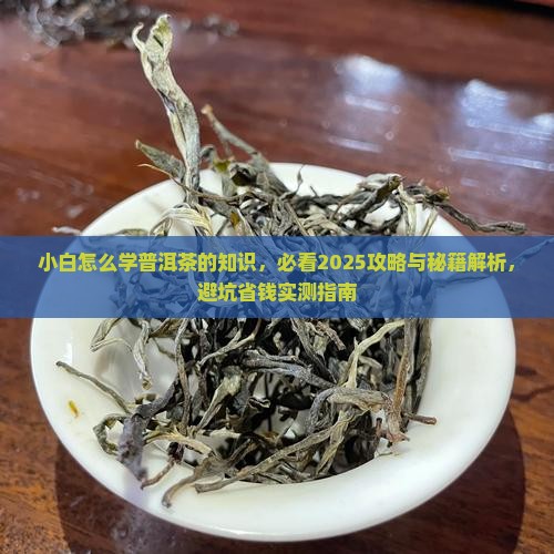 小白怎么学普洱茶的知识