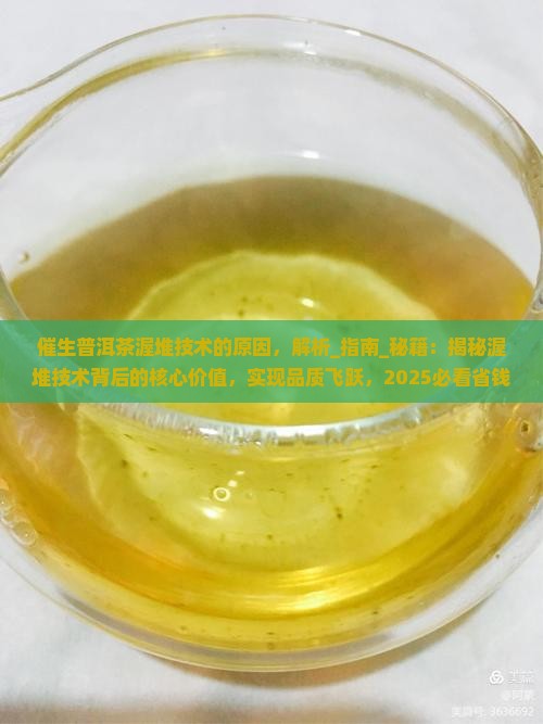 催生普洱茶渥堆技术的原因